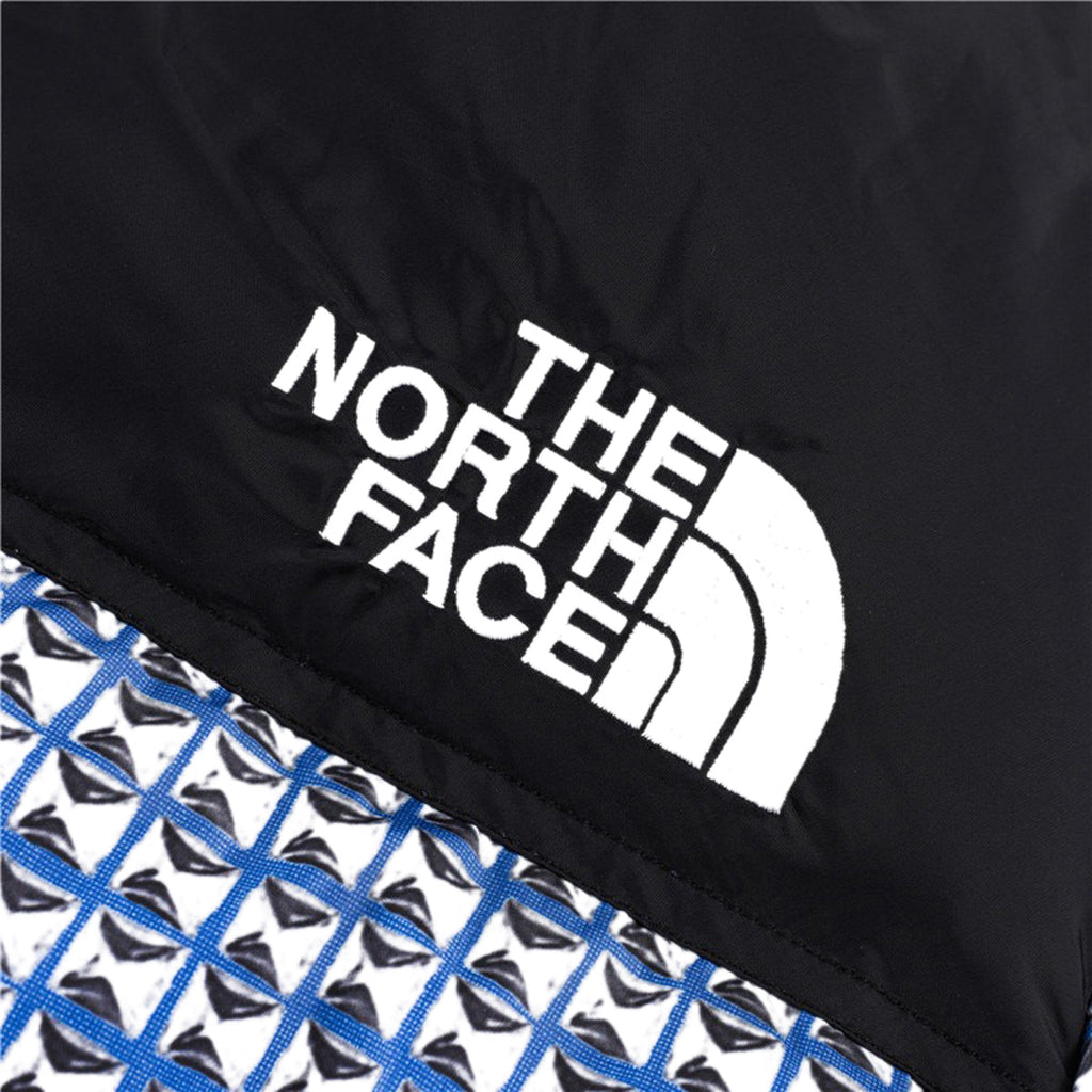 The North Face Blue Puffer Jacket